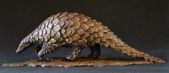 Pangolin - Maquette