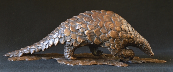 Pangolin - Maquette