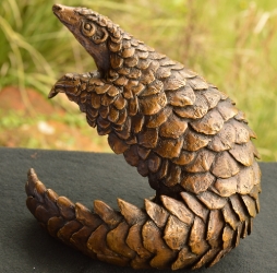 Pangolin