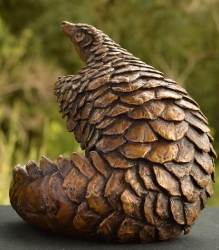 Pangolin