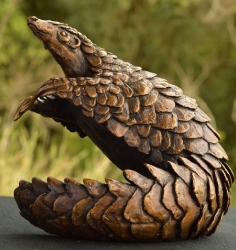 Pangolin