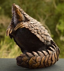 Pangolin