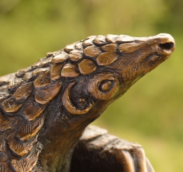 Pangolin