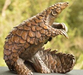 Pangolin