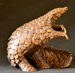 Pangolin