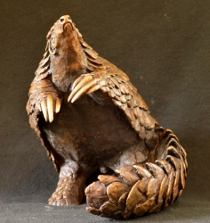 Pangolin