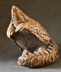 Pangolin