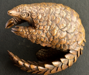 Pangolin