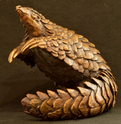 Pangolin