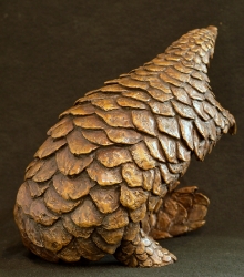 Pangolin