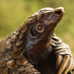 Pangolin