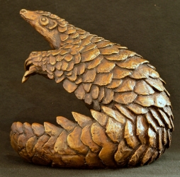 Pangolin