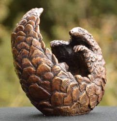 Pangolin Ball