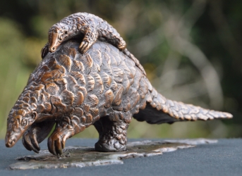 Piggyback Ride - Pangolin and Baby