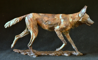 Six Pack - Wild dogs