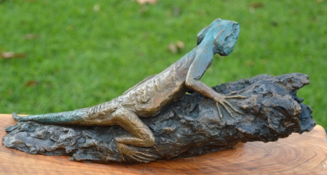 Southern tree agama