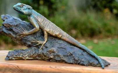 Southern tree agama