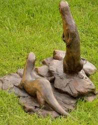 Spotted-necked otters - life-size