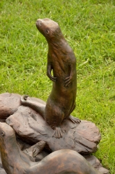 Spotted-necked otters - life-size