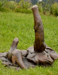 Spotted-necked otters - life-size