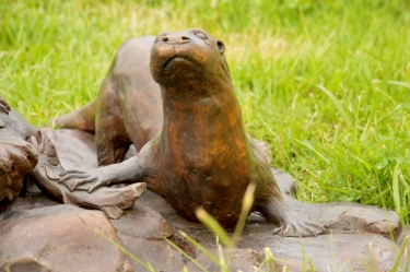 Spotted-necked otters - life-size