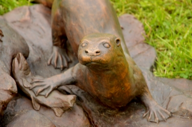 Spotted-necked otters - life-size