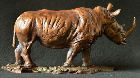 White Rhino - Maquette 2