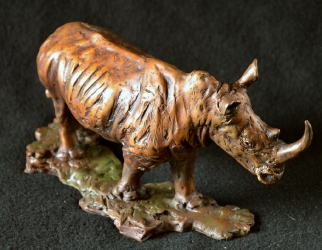 White Rhino - Maquette 2