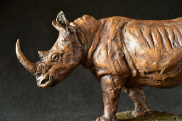 White Rhino - Maquette 2