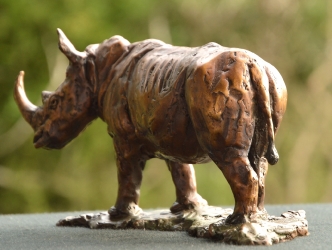 White Rhino - Maquette 2