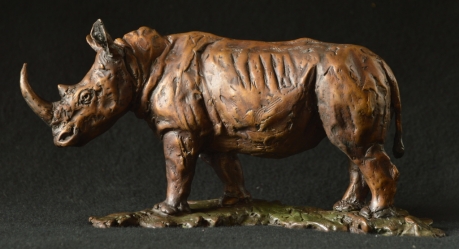 White Rhino - Maquette 2