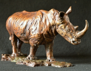 White Rhino - Maquette 2