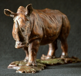 White Rhino - Maquette 2