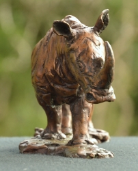 White Rhino small - Maquette 2