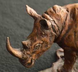 White Rhino small - Maquette 2