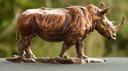 White Rhino small - Maquette 2