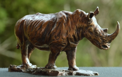 White Rhino small - Maquette 2