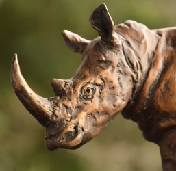 White Rhino small - Maquette 2