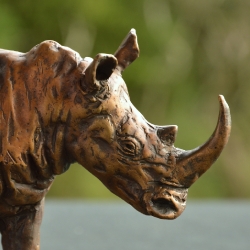 White Rhino small - Maquette 2