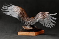 African Fish Eagle
