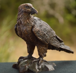 Bearded Vulture - mini