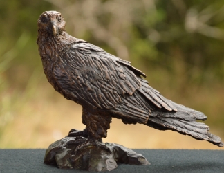 Bearded Vulture - Mini