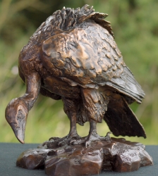 Cape Vulture - Maquette