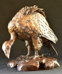 Cape Vullture - maquette