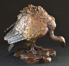 Cape Vullture - maquette