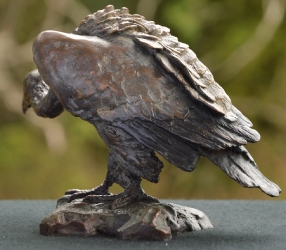 Cape Vulture - Mini