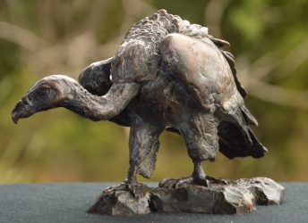 Cape Vulture - Mini