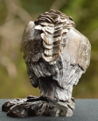 Cape Vulture - Mini