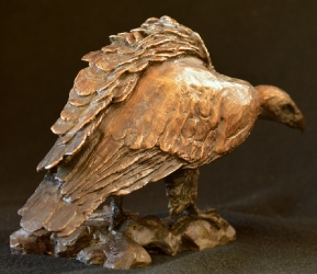 Cape Vulture - Mini