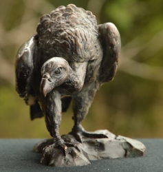 Cape Vulture - Mini